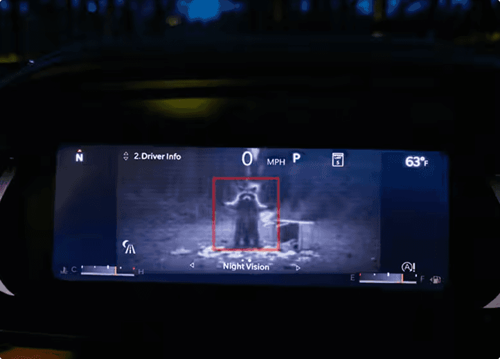 Night Vision Camera