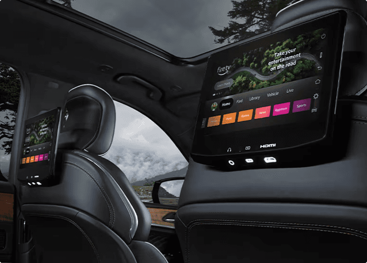 Rear Seat Entertainment
