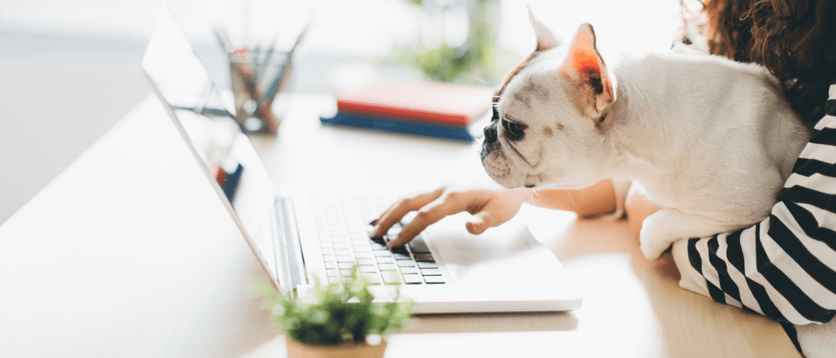 Our Online Inventory Is Easy to Browse!