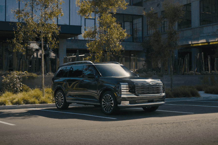 Palisade driving