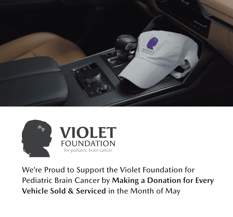 <strong>We Support The Violet Foundation</strong>