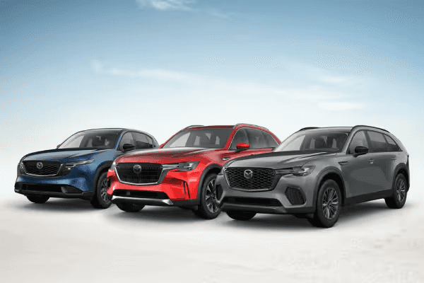 <strong>0% APR Financing For 60 Months</strong>