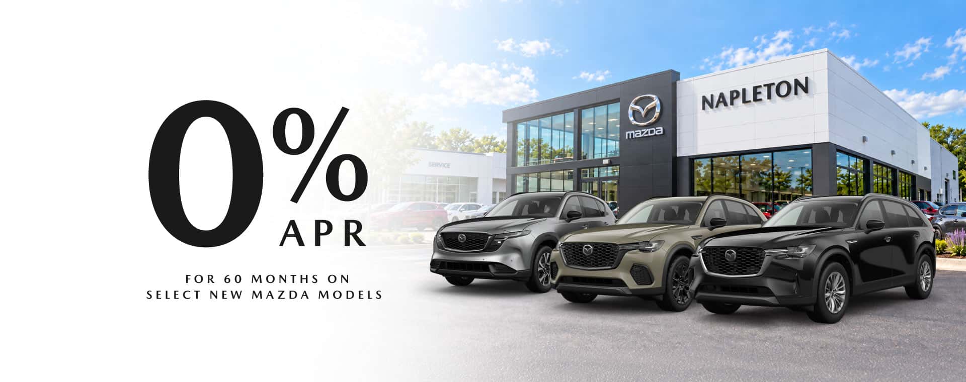0% APR at Napleton
