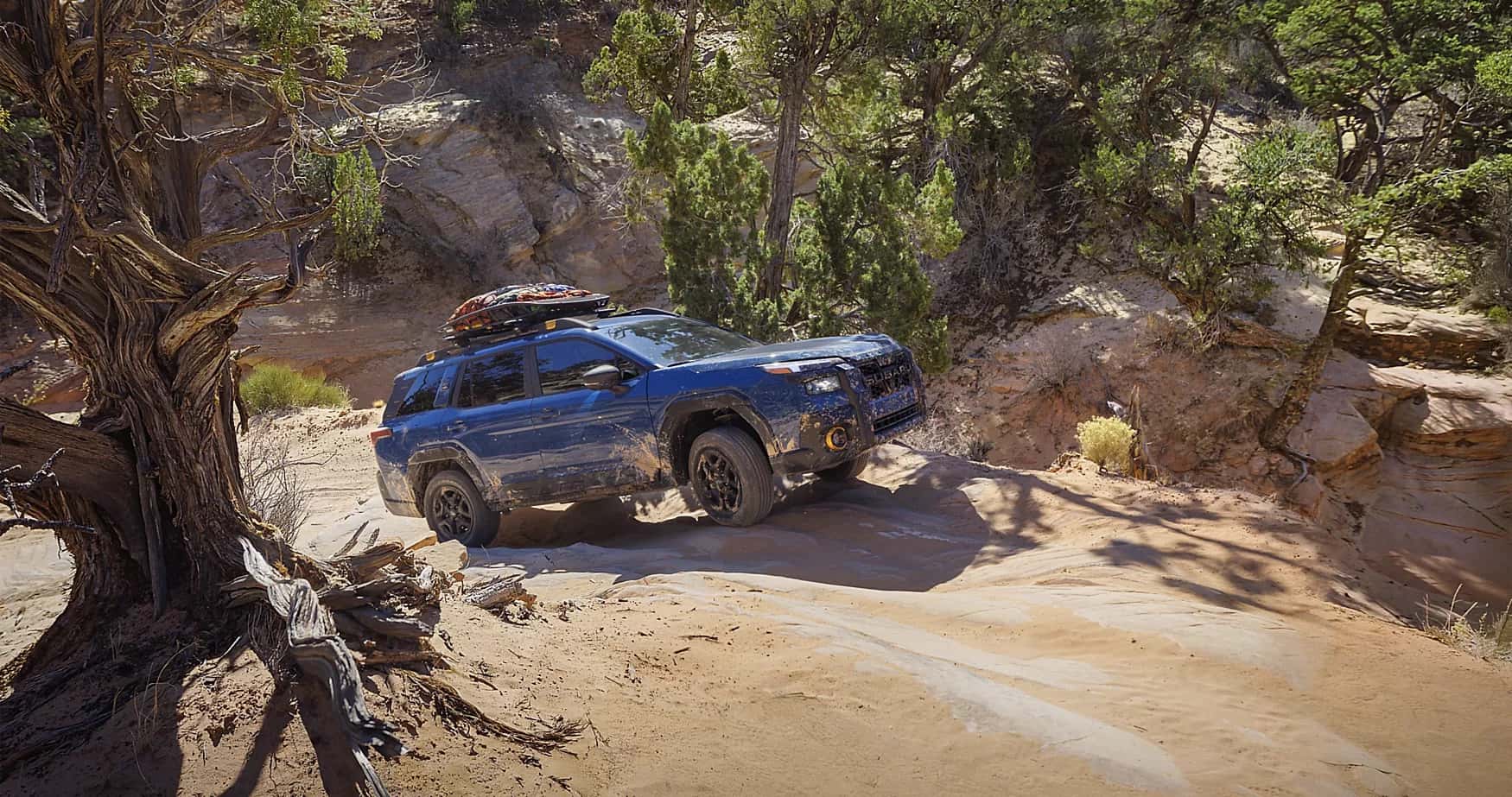 Subaru Outback exterior showcasing long-term durability and reliability