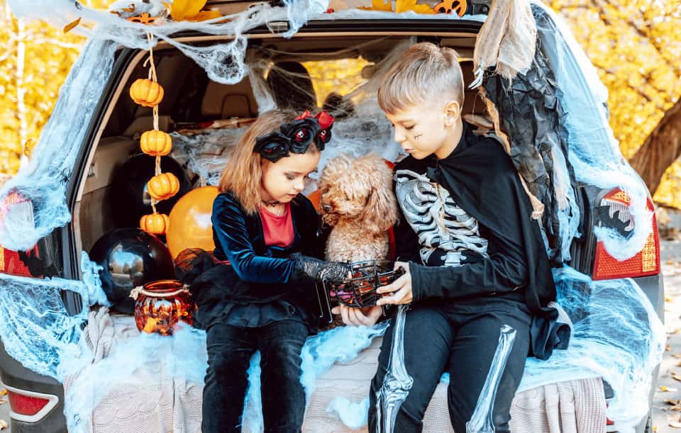 Decorated vehicle trunk with candy at the Napleton's Schaumburg Mazda trunk or treat