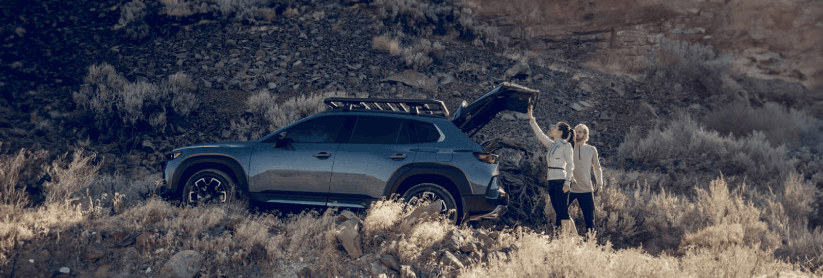 Mazda Connected Services overview