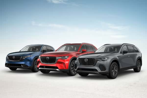 <strong>0% APR Financing For 60 Months</strong>