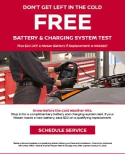 FREE Battery & Charging System Test