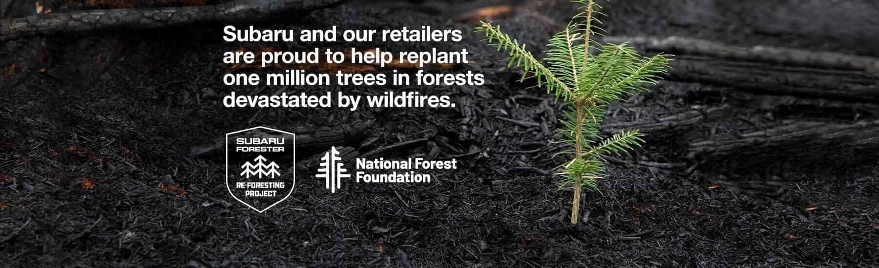 11624252_Reforest_DDC_HPR_1800x550_02-3-1800&#215;550