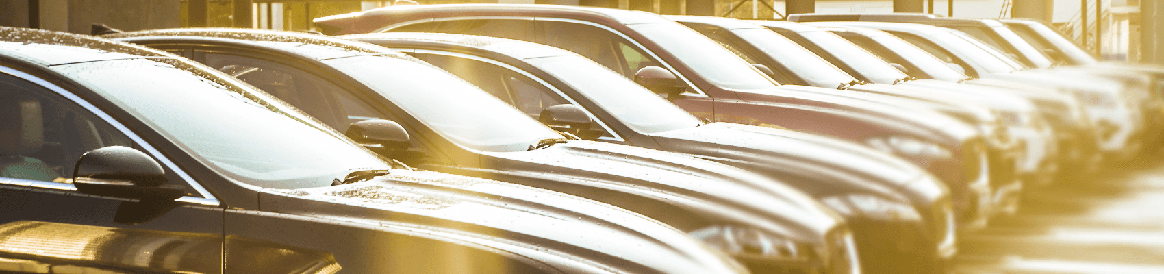 Used Car Dealer near Royse City TX