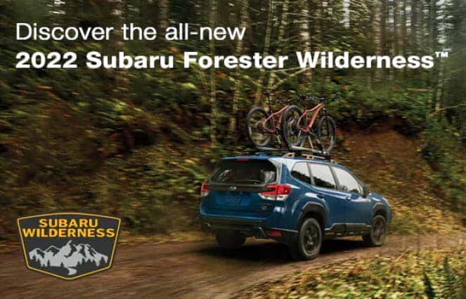 Forester Wilderness