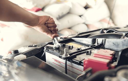 Wild Card Special Parts and Service
