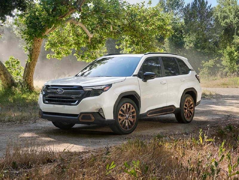 Forester Hybrid for Sale Rockwall TX