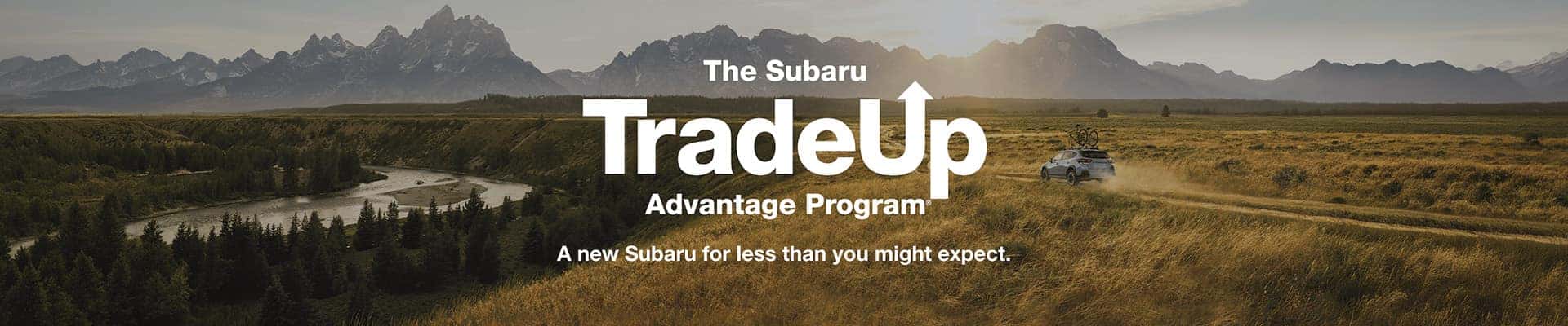 Trade Up