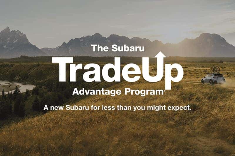 Trade Up