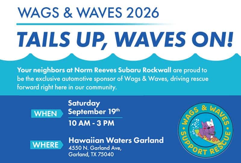 Wags & Waves Event