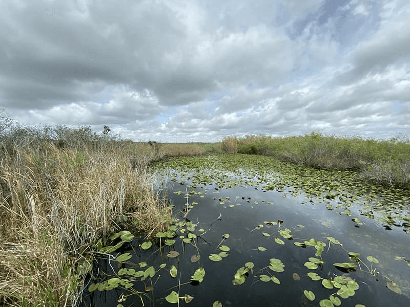 Everglades National Park