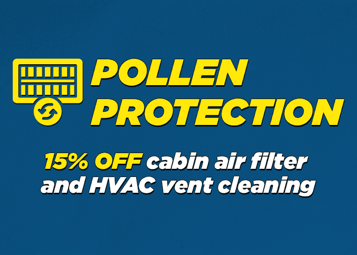 Polen Plume =Protection Incabin Air Filter and HVAC vent cleaning 15% off