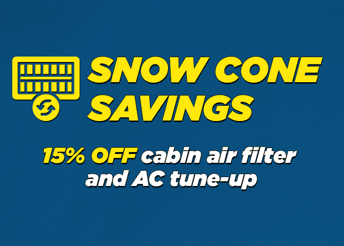 Incabin Air Filter and AC Tune up