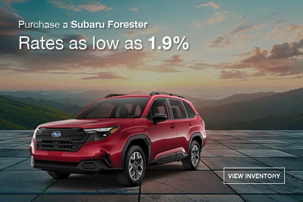 Forester Finance Special