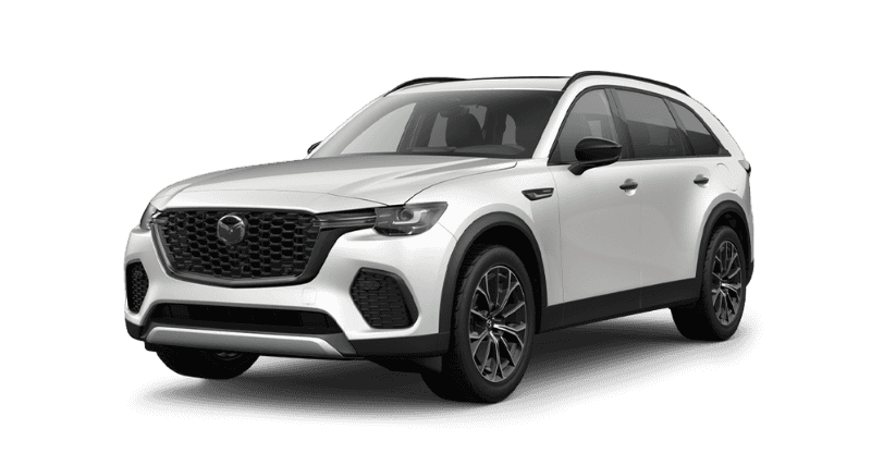 PHEV Premium Plus