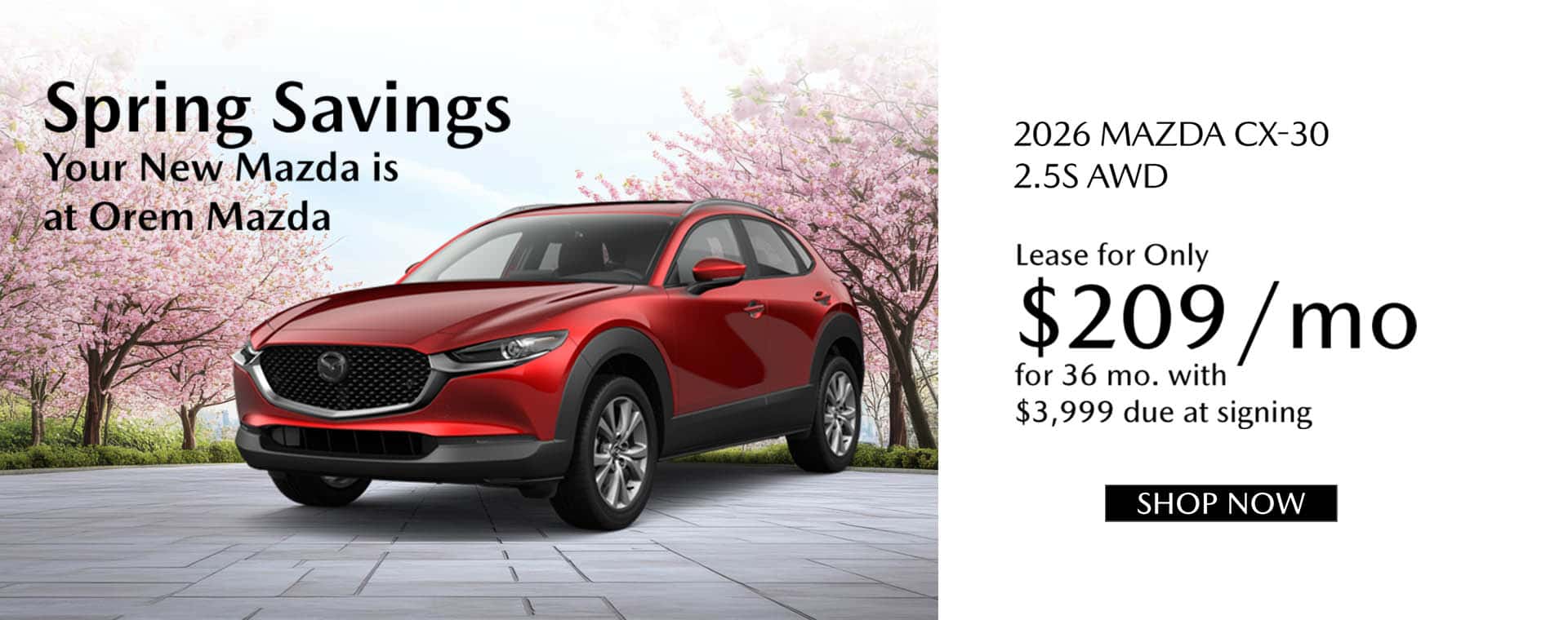 CX 30 Homepage