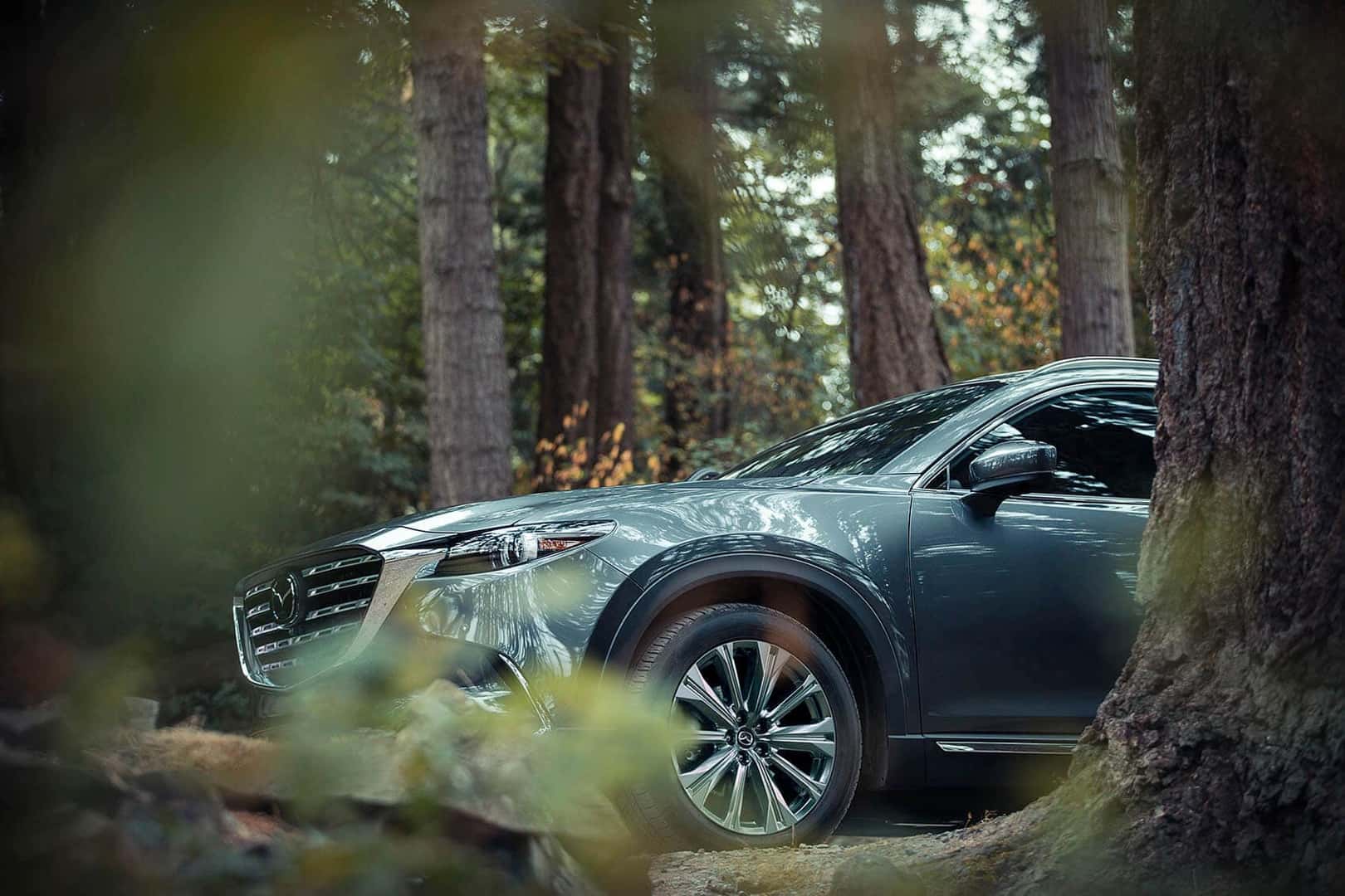 Mazda CX-9 Off Road