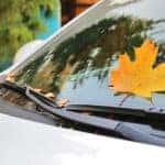 Autumn leaf on car windshield