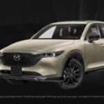 cx-50-customer-cash.jpg