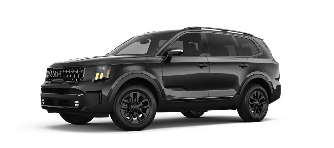 2025 Kia Telluride Panthera Metal