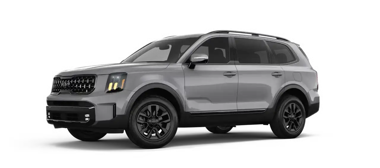2025 Kia Telluride Wolf Gray