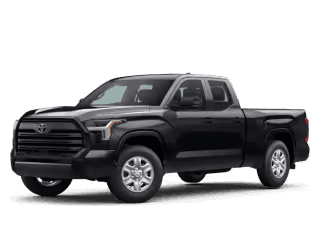 Tundra
