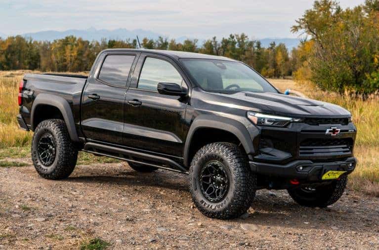 Chevy truck outdoors on dirt road