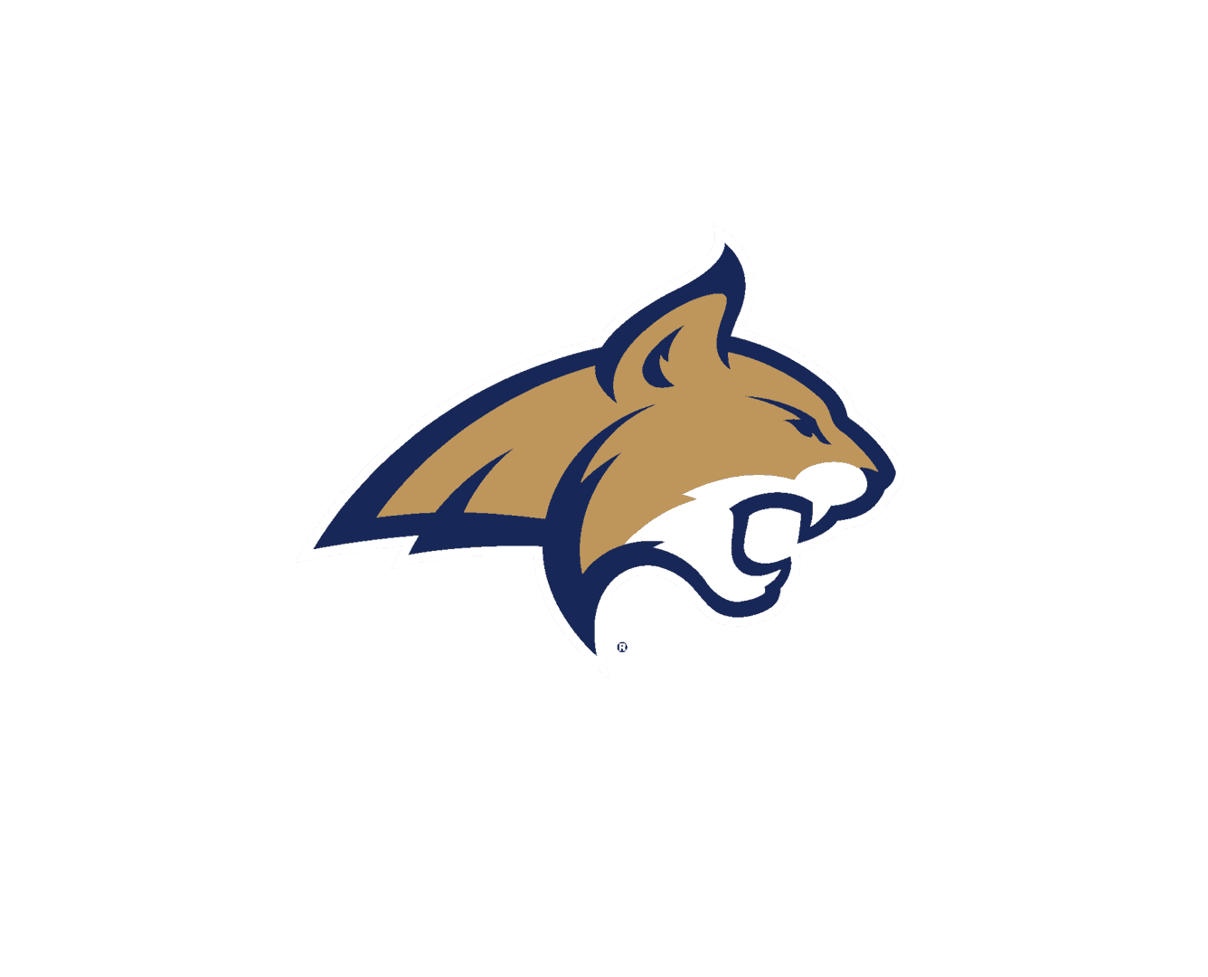 MSU Logo