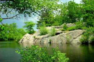 Great Blue Hill Reservation, Milton