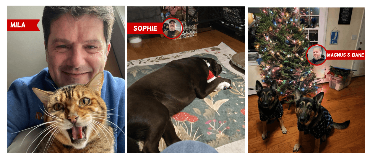 Robertsons PETS