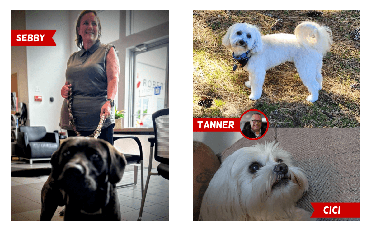 Robertsons PETS