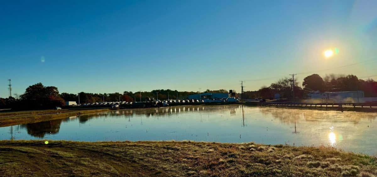 Cranberry bog