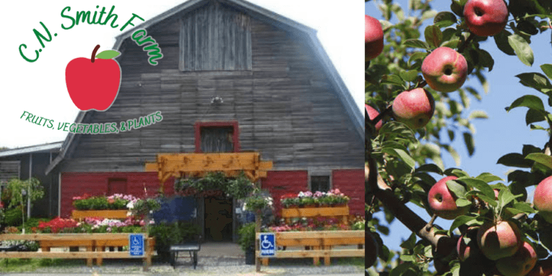 CN SMith Farm