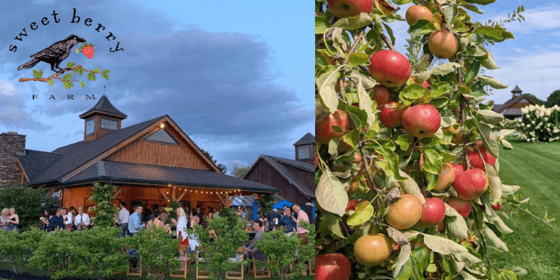 sweet Berry Farms