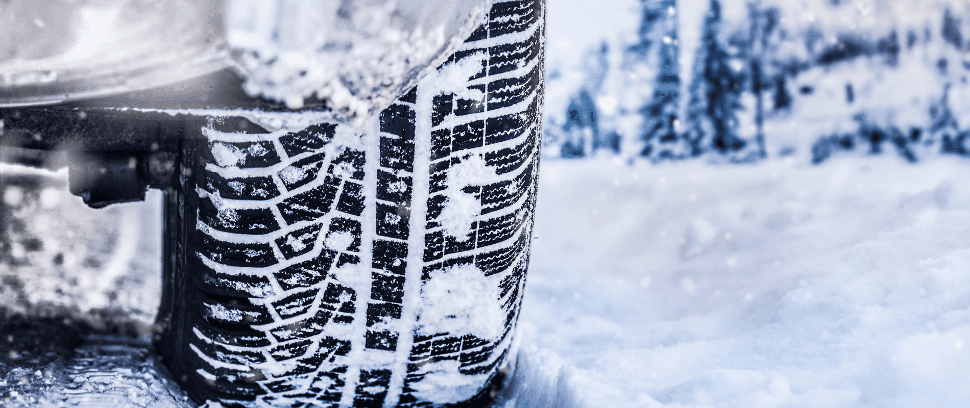 Brake Pad Replacement