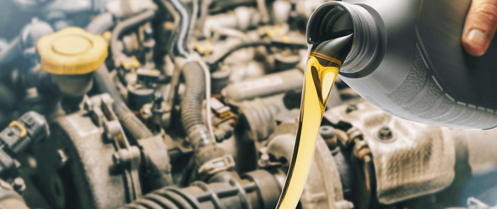 Conventional Oil Change Service