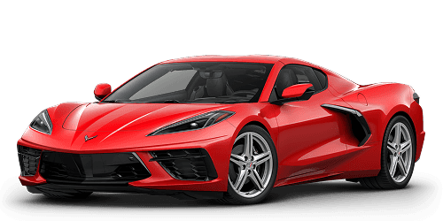stingray