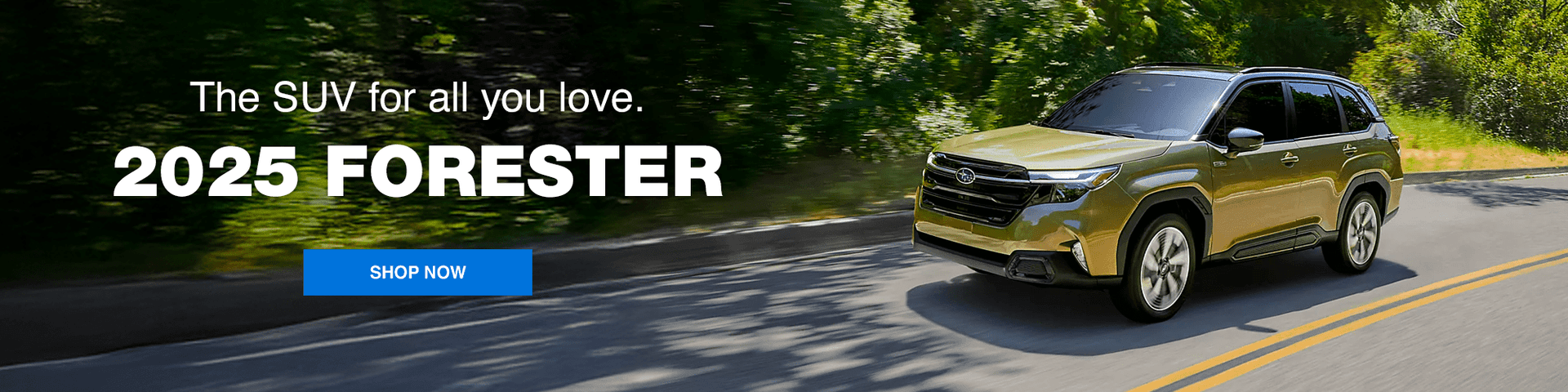 MSBLMSB0525_Forester_SL_2000x500&#8211;1-