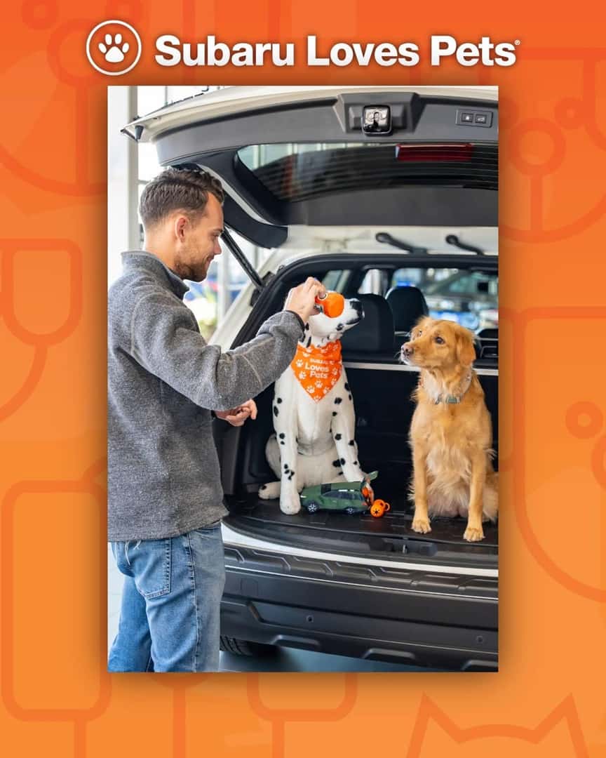 man next to two dogs in trunk