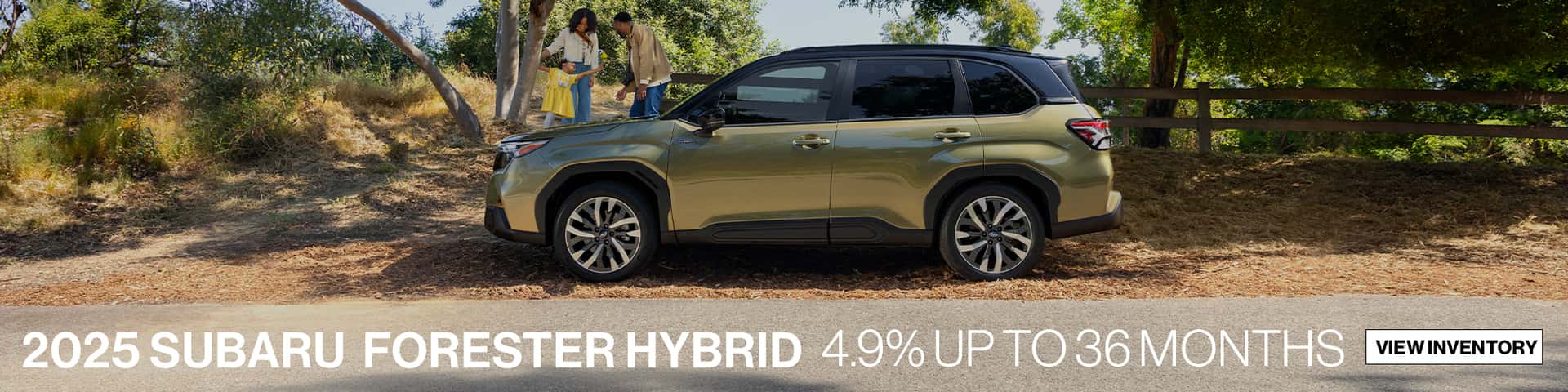 Green Subaru Forester Hybrid with palm trees in the background