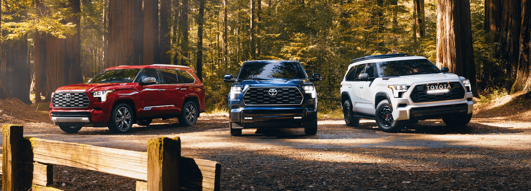Three 2023 Sequoia parked in forest