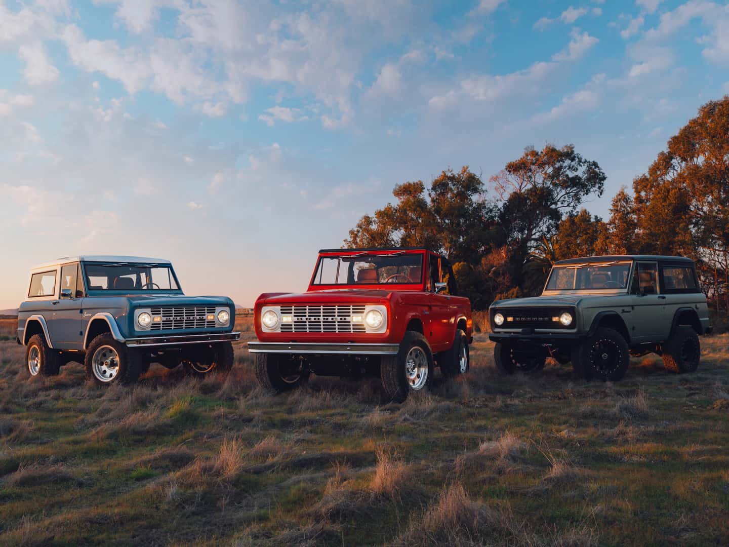 Three Kindred Broncos