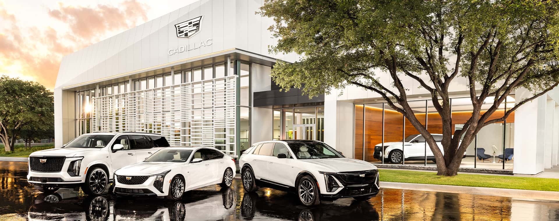 Sewell Cadillac of Grapevine
