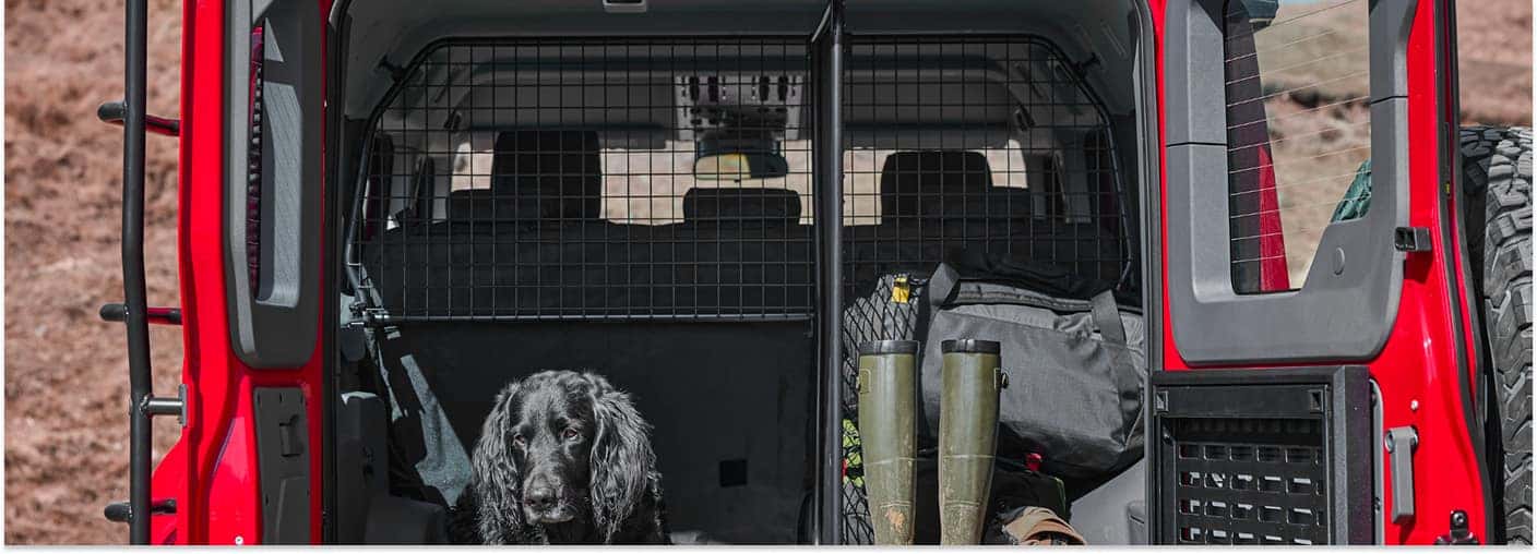 2026 INEOS Grenadier Station Wagon Trunk Interior